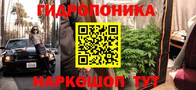 крисы Ипатово