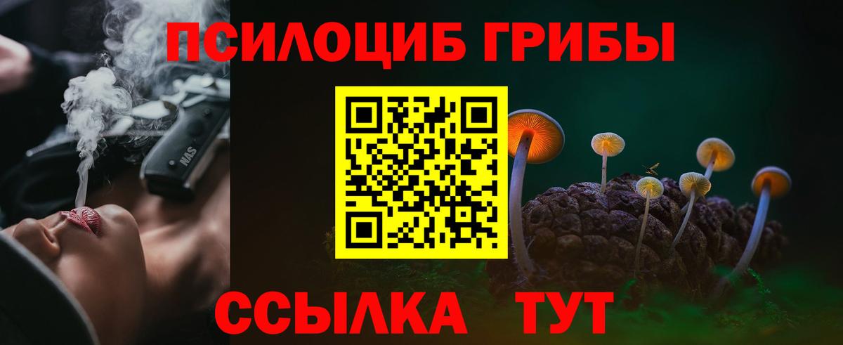 дарнет шоп  Вход с VPN  Псилоцибиновые грибы Psilocybine cubensis  Лесозаводск  Псилоцибиновые грибы мухоморы 